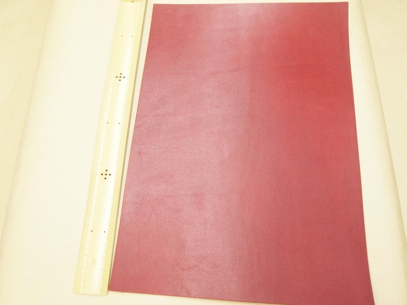 Mjpa181834