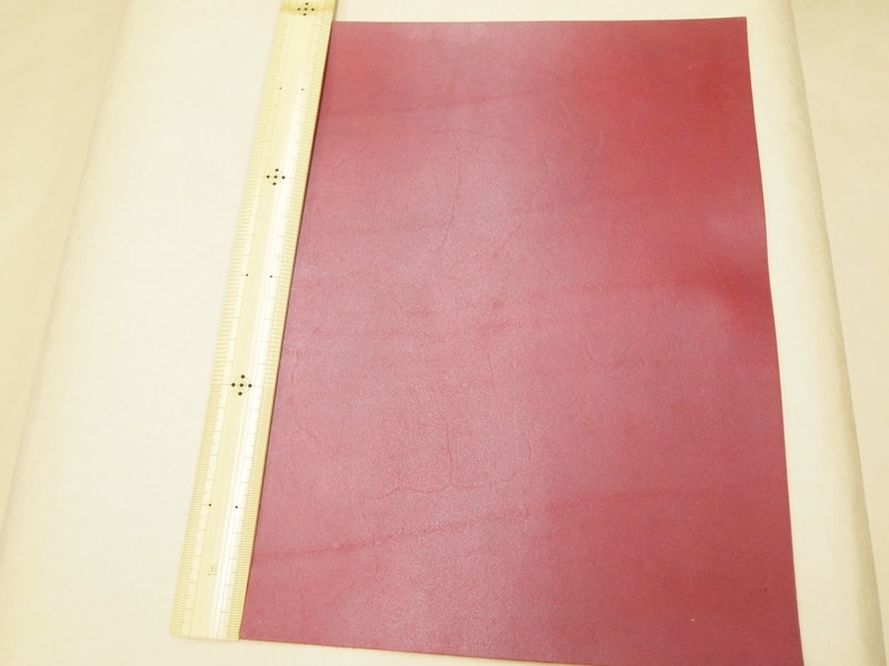 Mjpa181836