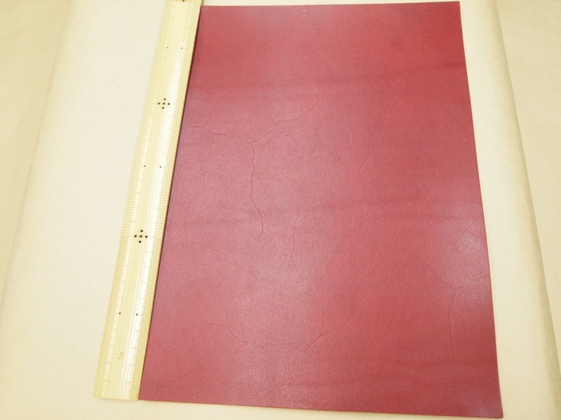 Mjpa181838