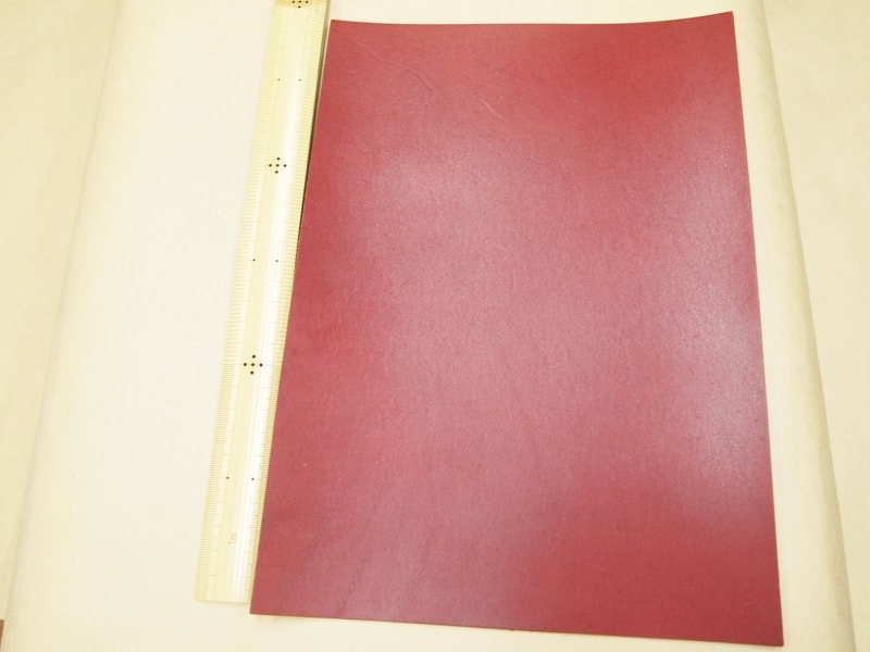 Mjpa181842