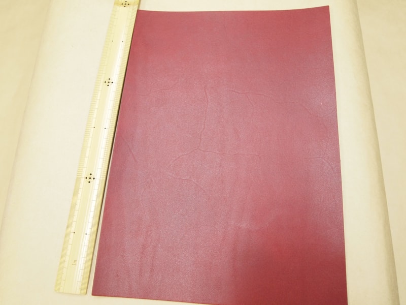 Mjpa181844