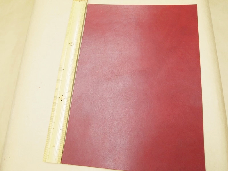 Mjpa181848