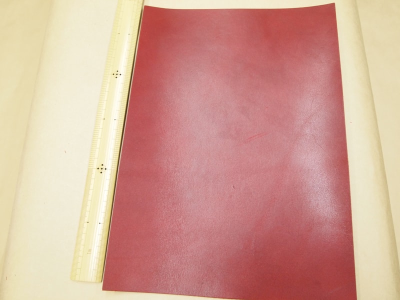 Mjpa181850