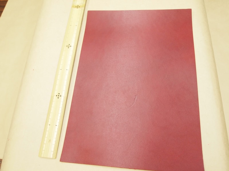 Mjpa181854