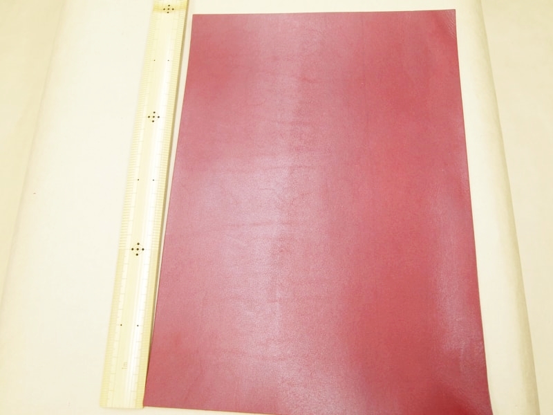 Mjpa181856