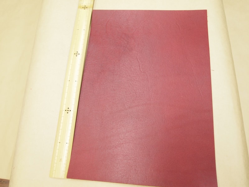 Mjpa181860