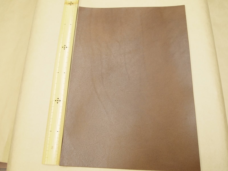 Mjpa181874