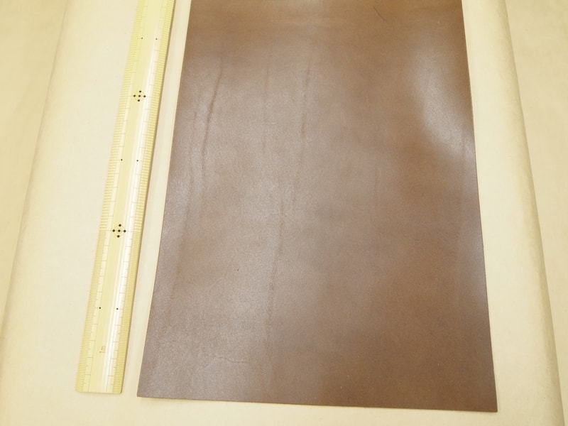 Mjpa181876