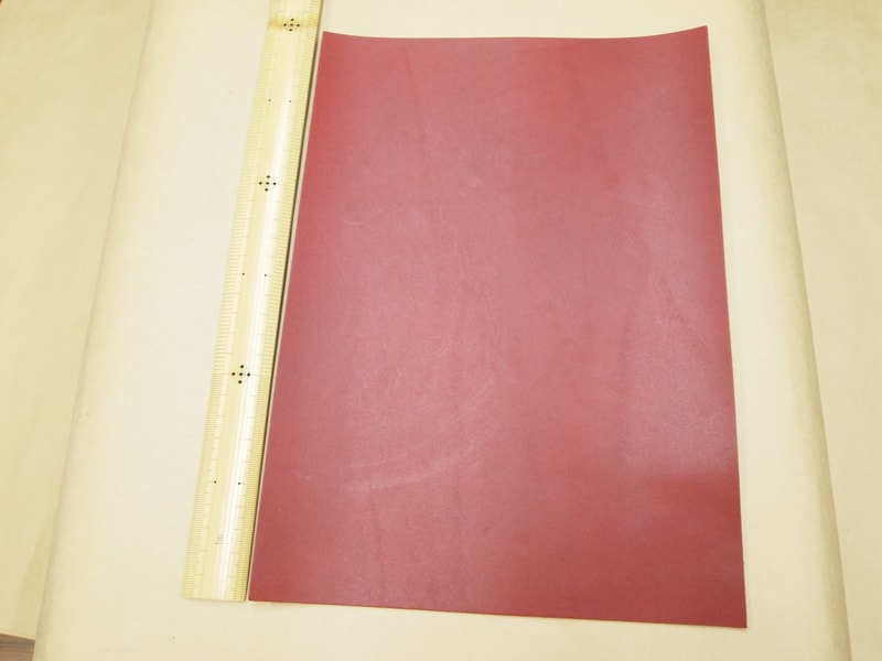 Mjpa181954