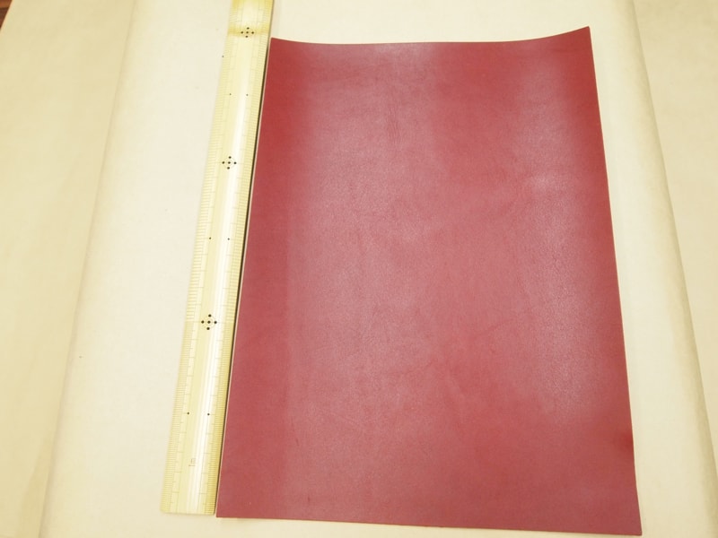 Mjpa181956