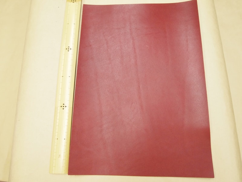 Mjpa181960