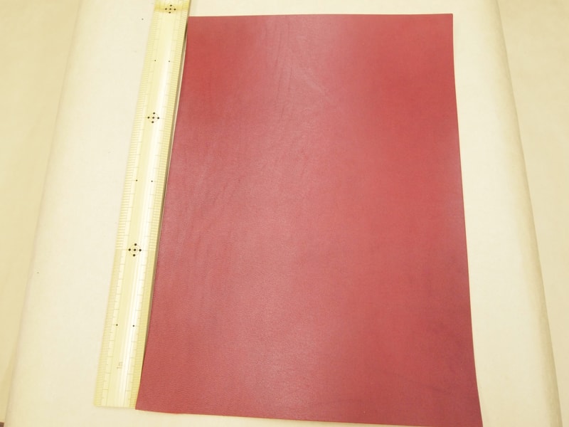 Mjpa181964