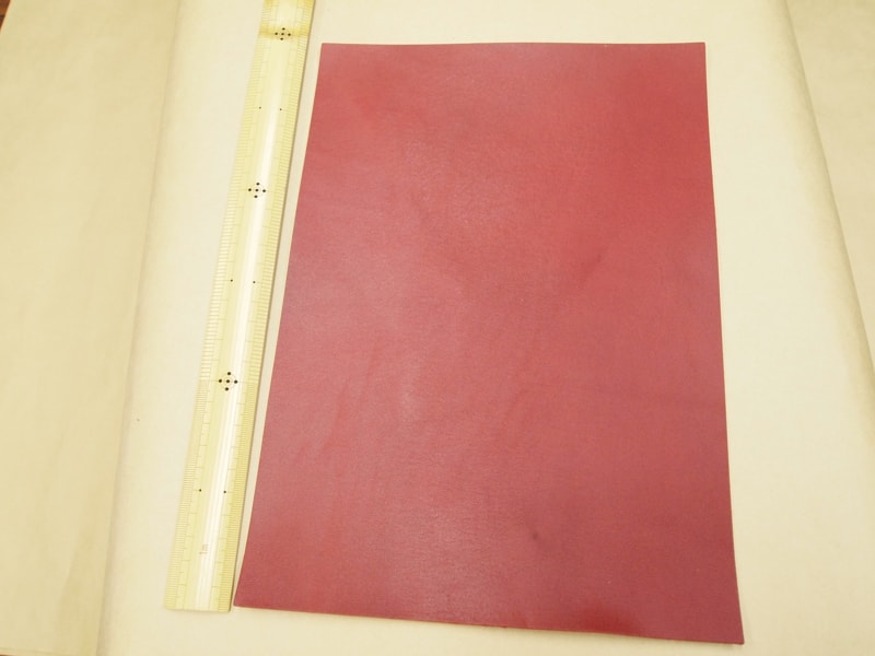 Mjpa181974