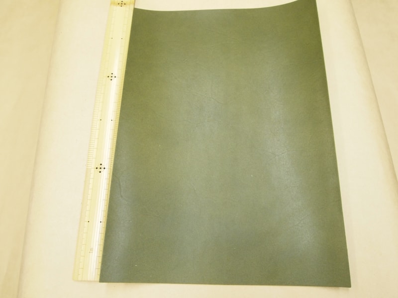 Mjpa182002