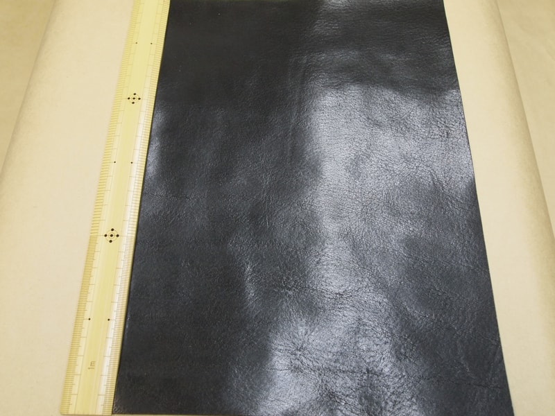 Mjpb012459