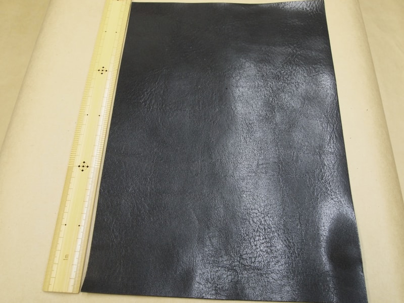 Mjpb012481