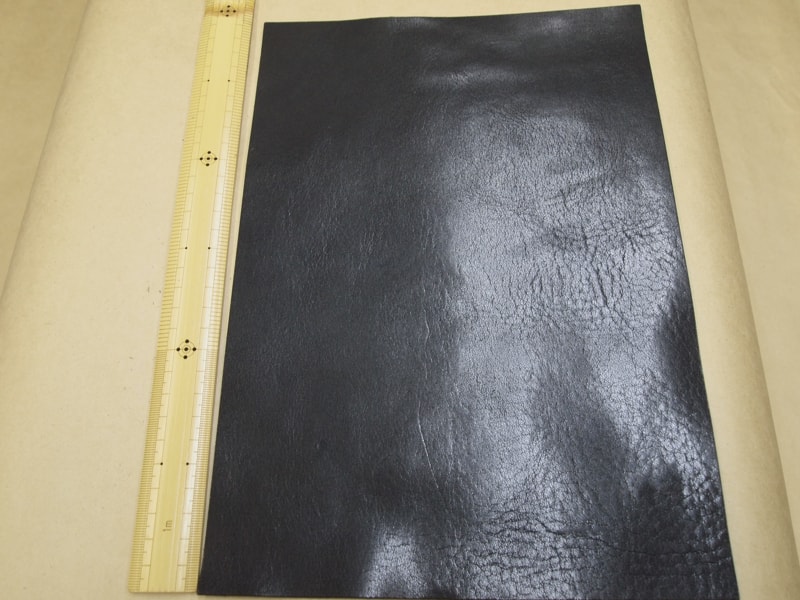 Mjpb012491