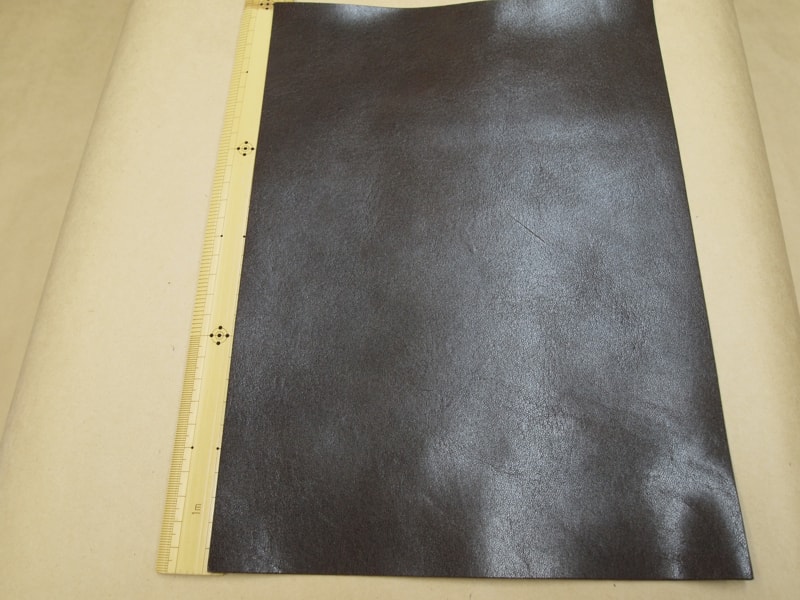 Mjpb012509