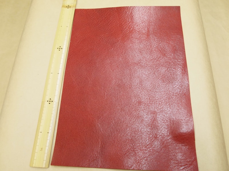 Mjpb012545