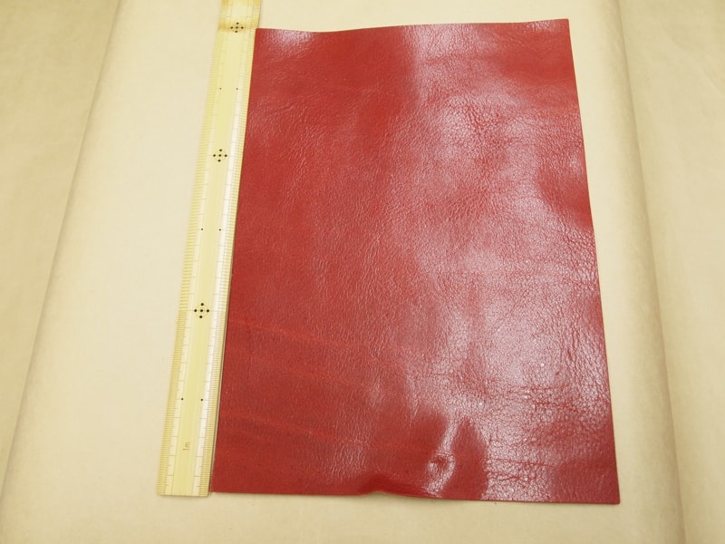 Mjpb012569