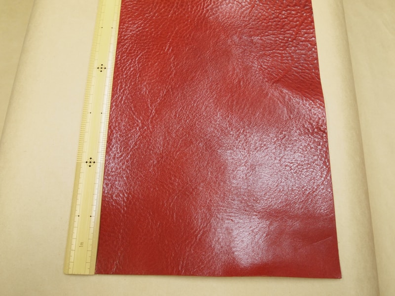 Mjpb012571