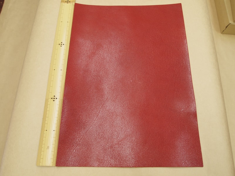 Mjpb082806