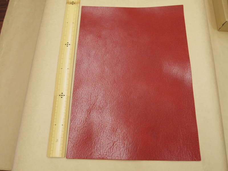 Mjpb082808