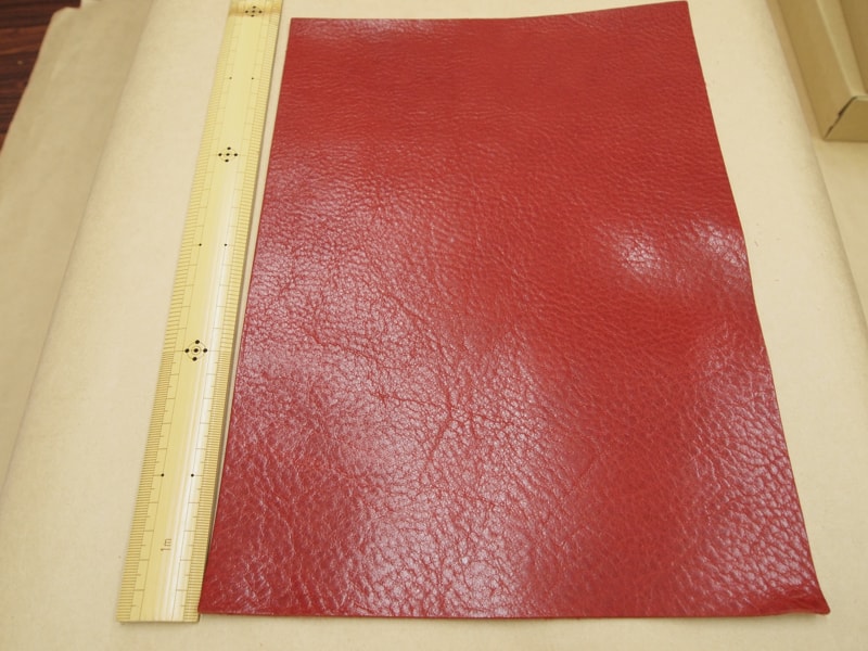 Mjpb082835