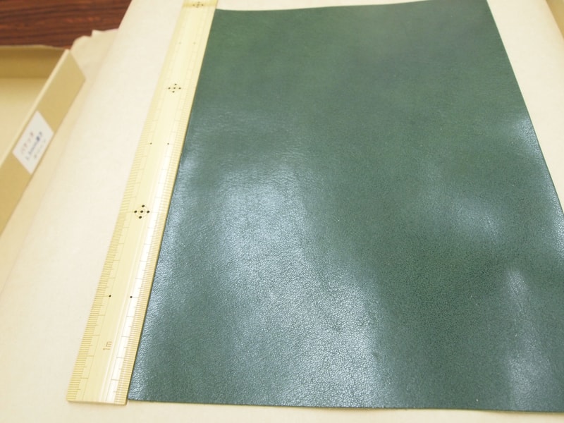 Mjpb082845