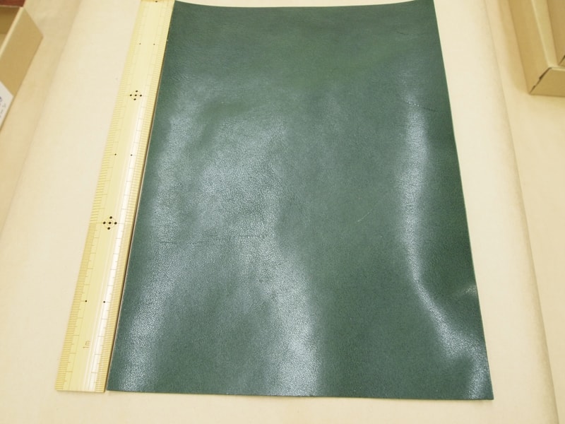 Mjpb082849