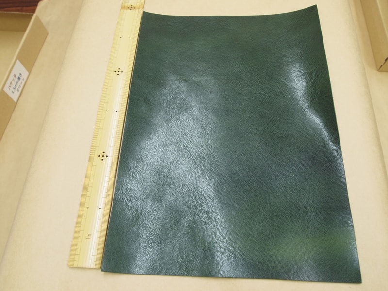 Mjpb082851