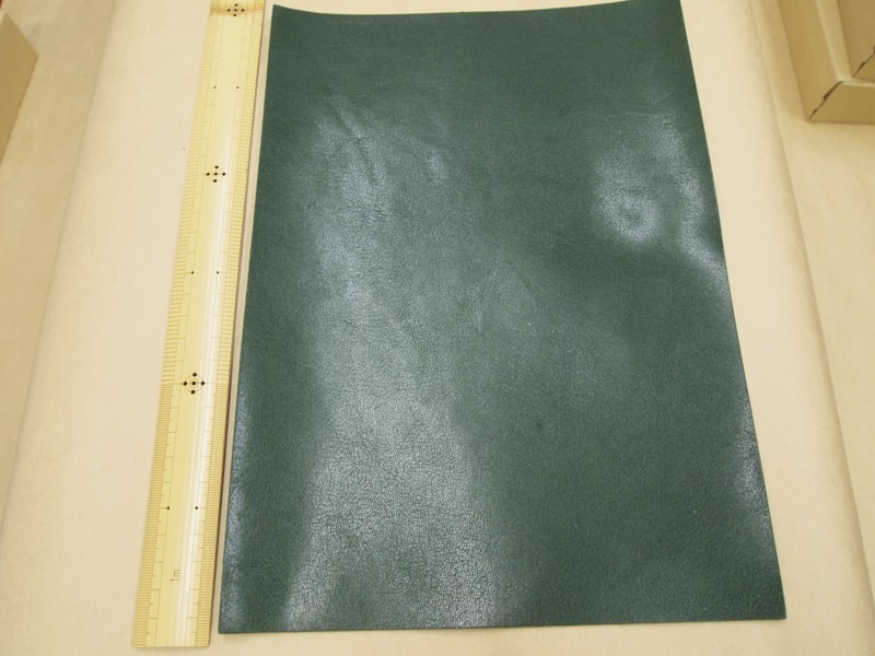 Mjpb082855
