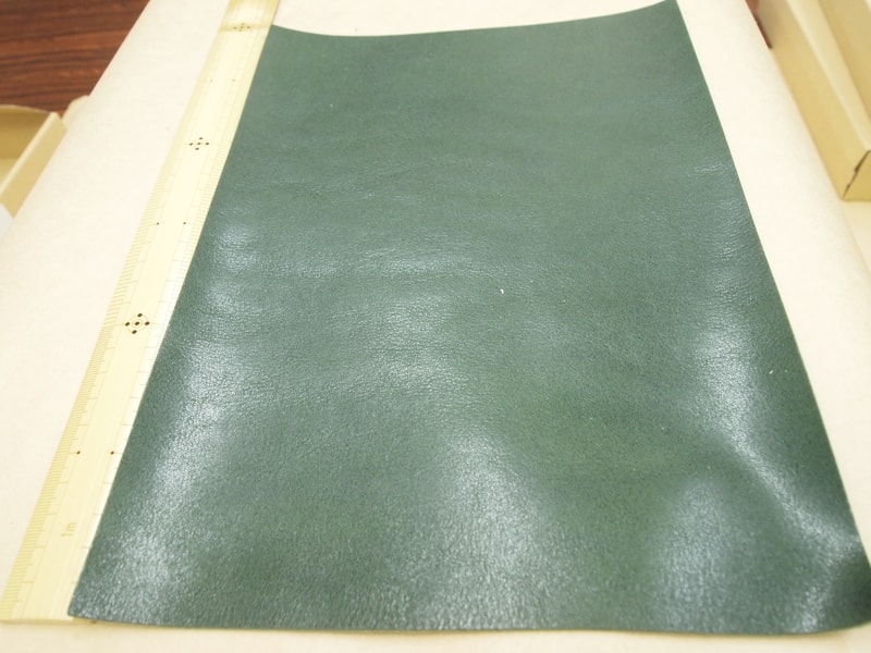 Mjpb082859