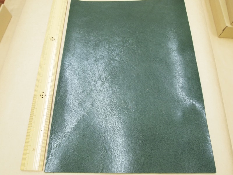 Mjpb082861