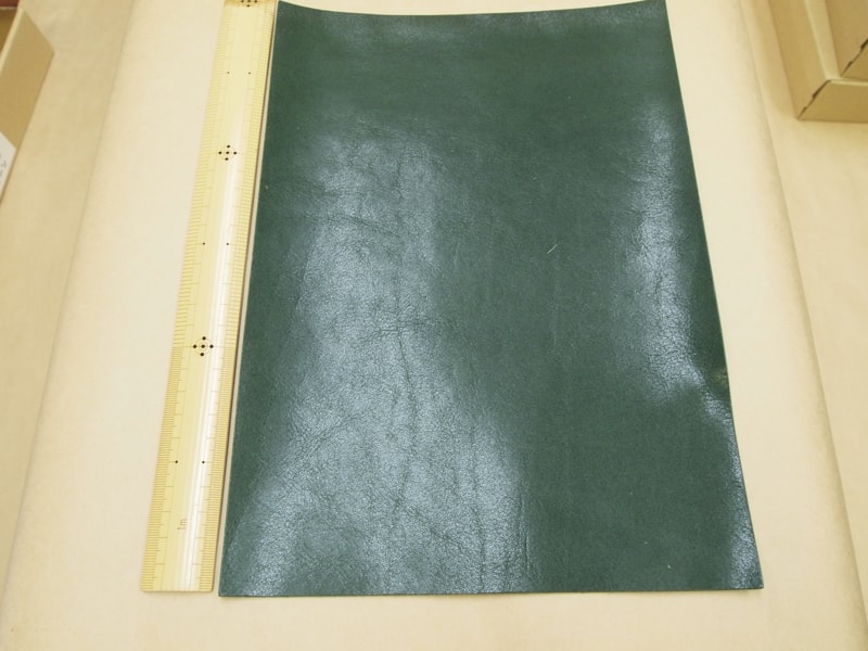 Mjpb082867
