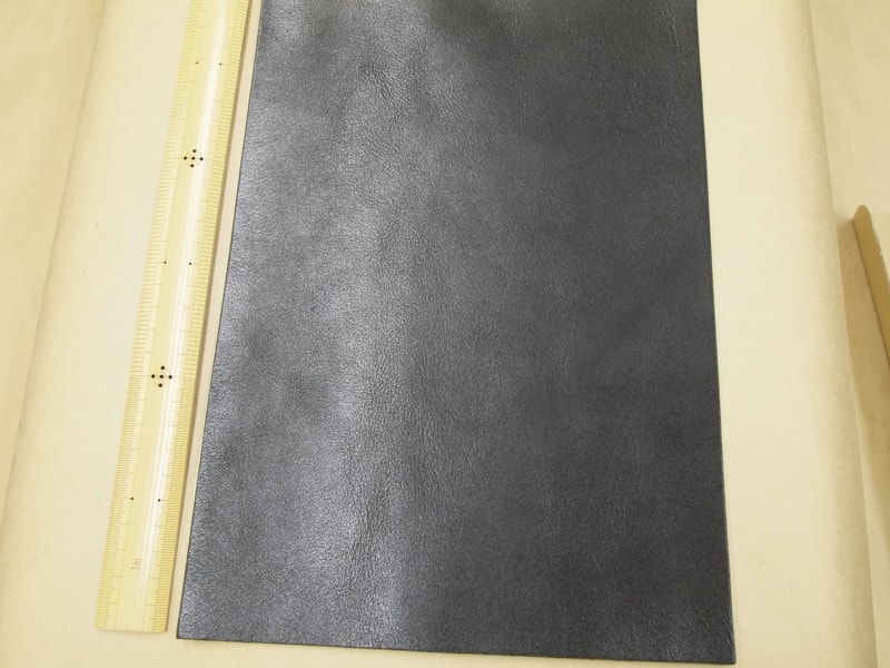 Mjpb082999