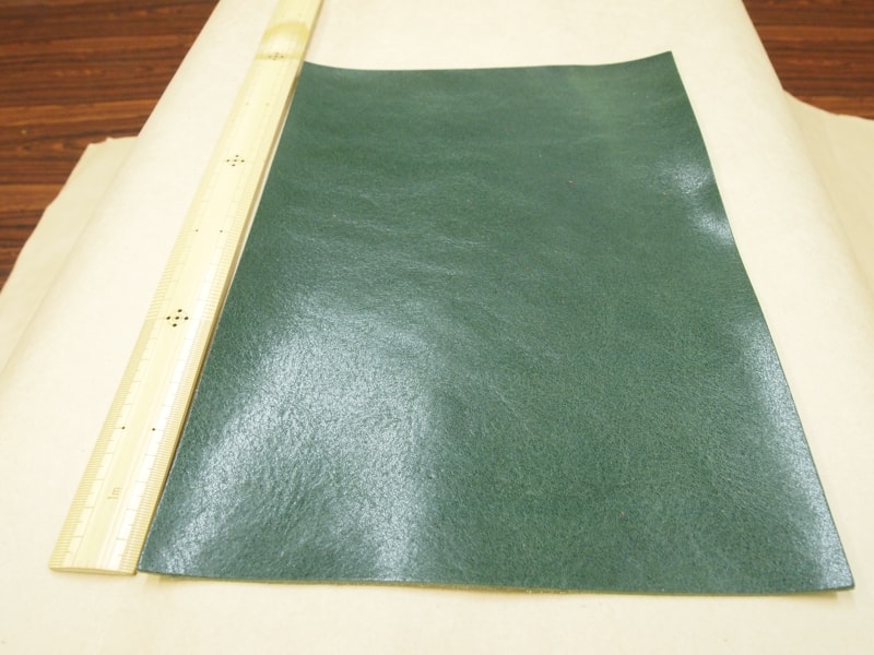 Mjpb083071