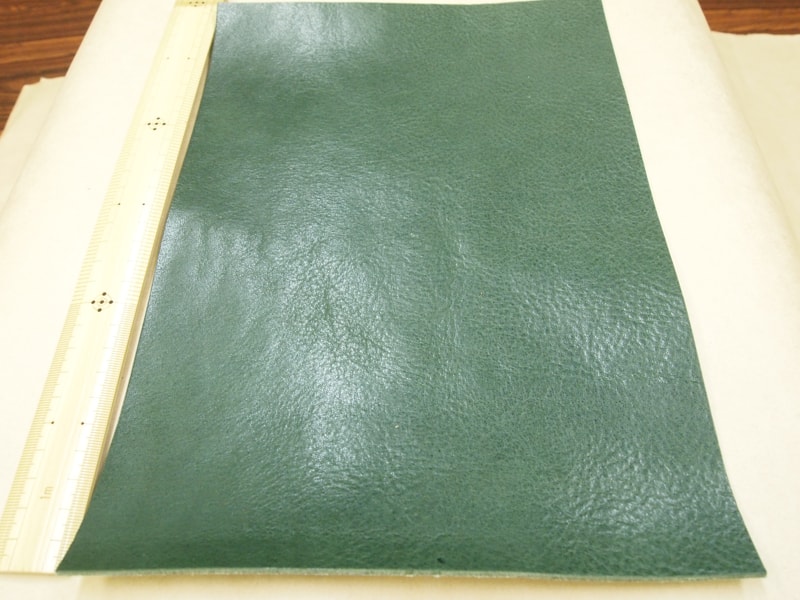 Mjpb083093