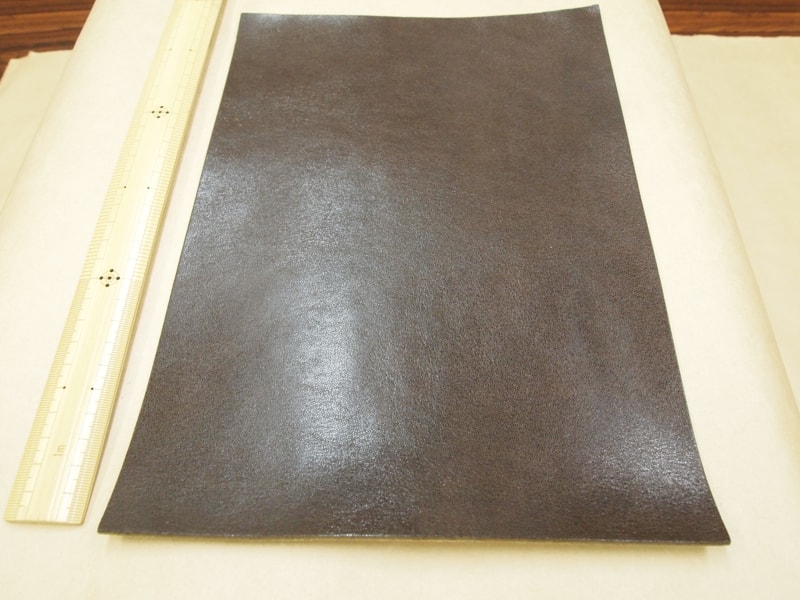 Mjpb083129