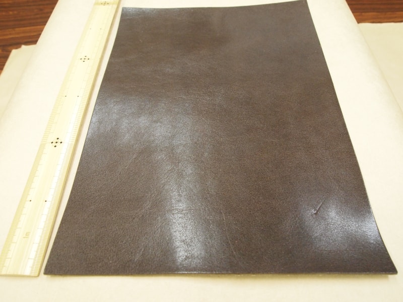 Mjpb083137