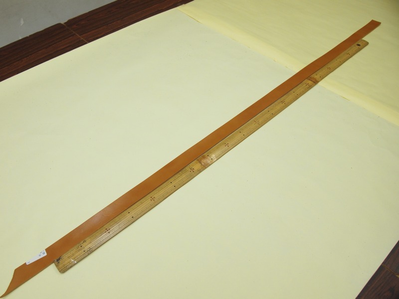 P5288669