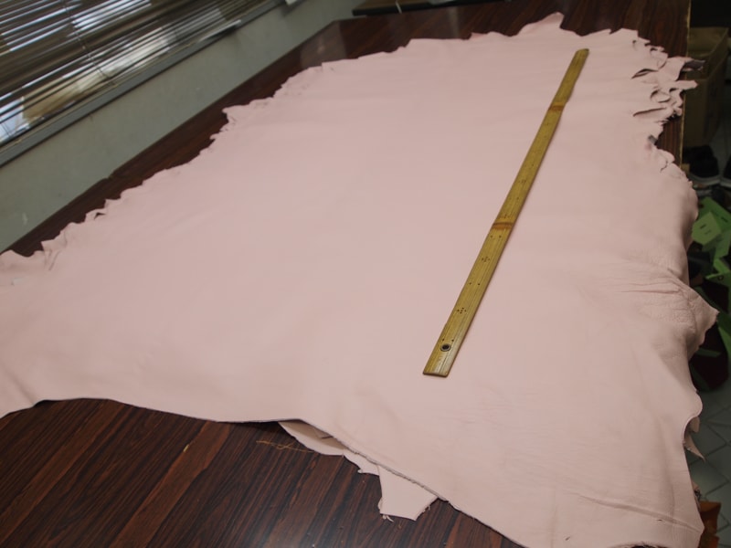 Mjpa014246