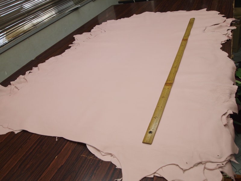 Mjpa014259