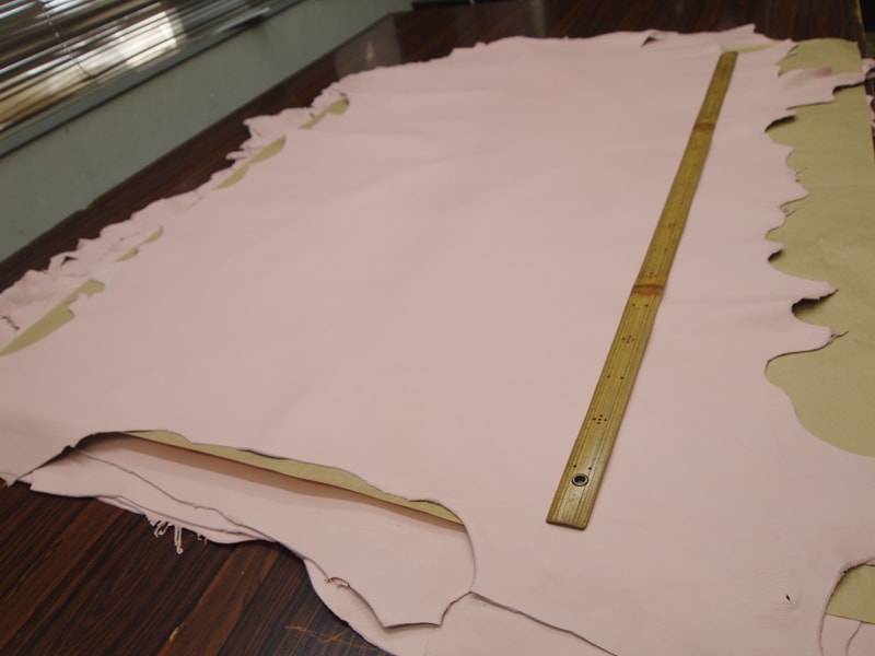 Mjpa014262