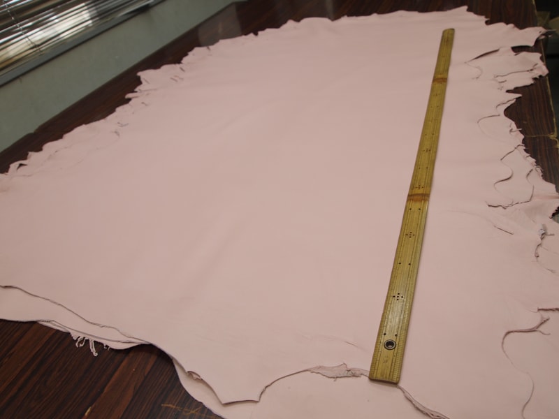 Mjpa014265