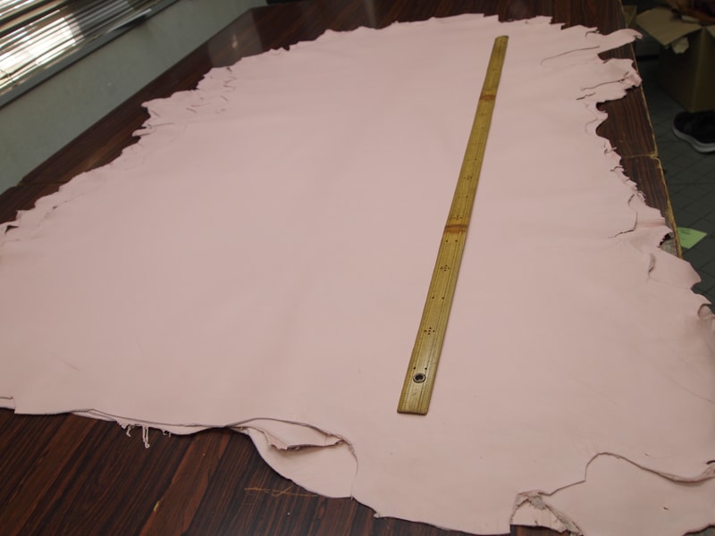 Mjpa014268