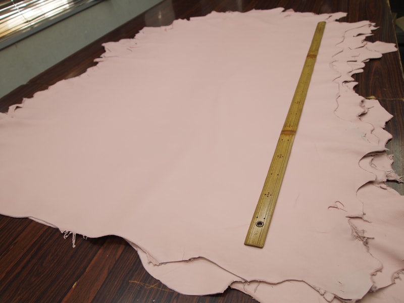 Mjpa014274