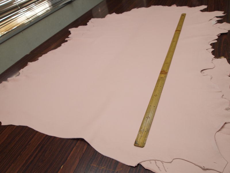 Mjpa014280