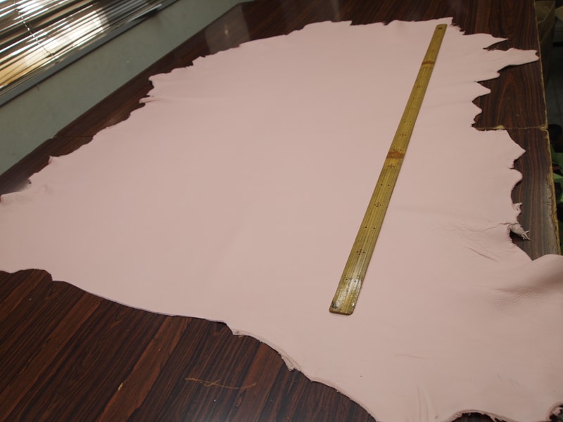 Mjpa014283
