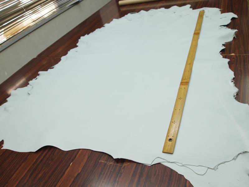 Mjpa014289